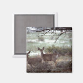 Aimant Cerf courant (Recto/Verso)