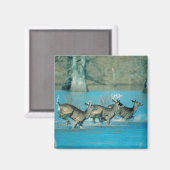 Aimant Cerf courant dans l'eau (Recto/Verso)