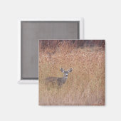 Aimant Cerf dans la prairie (Recto/Verso)
