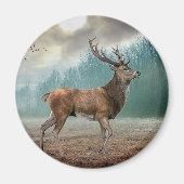 Aimant Cerf Lone Dans La Forêt Misty (Devant)