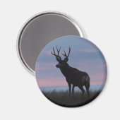 Aimant Cerf Mule D3 Lever du Soleil Buck (Recto/Verso)