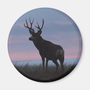 Aimant Cerf Mule D3 Lever du Soleil Buck