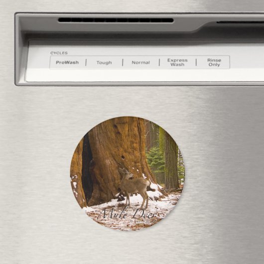 Aimant Cerf mulet (In Situ (Lave-vaisselle))