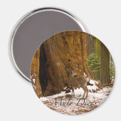 Aimant Cerf mulet (Recto/Verso)