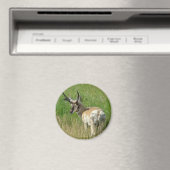 Aimant Cerf pronghorn A35 (In Situ (Lave-vaisselle))