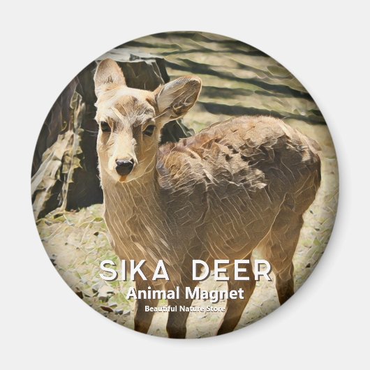 Aimant Cerf Sika magnétique (Devant)