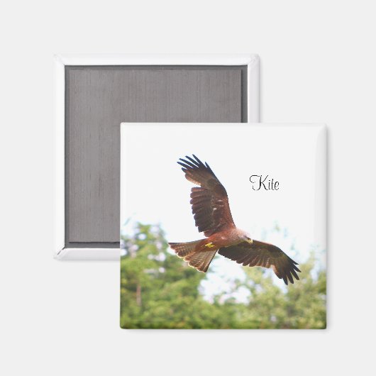 Aimant Cerf-volant en vol..... (Recto/Verso)