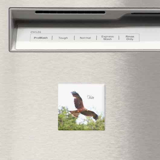 Aimant Cerf-volant en vol..... (In Situ (Lave-vaisselle))