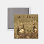 Aimant Cerfs Mulets D30 (Recto/Verso)