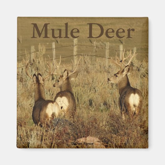 Aimant Cerfs Mulets D30 (Devant)