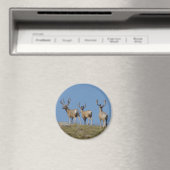 Aimant Cerfs Mulets mâles D9 en velours (In Situ (Lave-vaisselle))