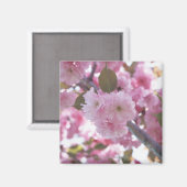 Aimant Cerise en fleurs 4 (Recto/Verso)
