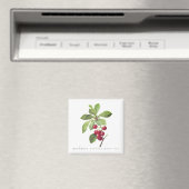 Aimant Cerises pour vous (In Situ (Lave-vaisselle))