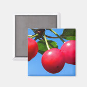 Aimant Cerises sucrées (Recto/Verso)