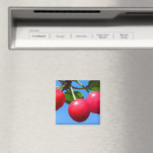 Aimant Cerises sucrées (In Situ (Lave-vaisselle))