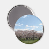 Aimant cerisier fleur Washington dc (Recto/Verso)
