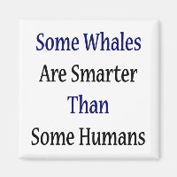 Certaines Baleines Sont Plus Intelligentes Que Cer