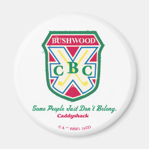 Aimant Certaines personnes n'appartiennent tout simplemen