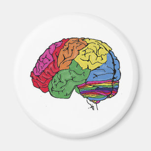 Aimant Cerveau arc en ciel