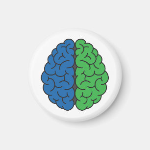 Aimant Cerveau bleu et vert   Hypertension intracrânienne