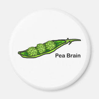 Aimant Cerveau de pois