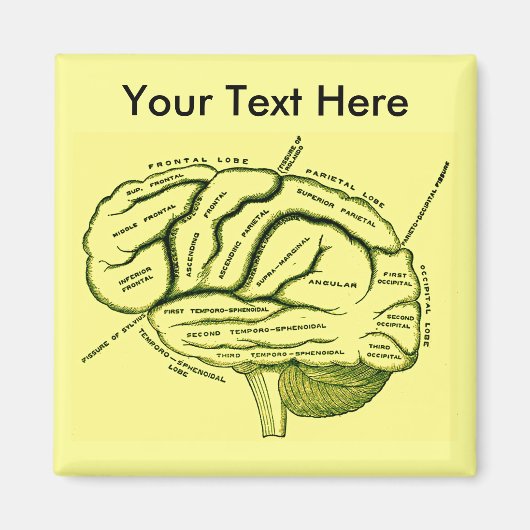 Aimant Cerveau humain (Devant)