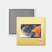 Aimant C'est beau ! (Recto/Verso)