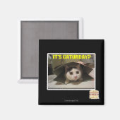 Aimant C'est Caturday ? (Recto/Verso)