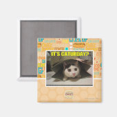 Aimant C'est Caturday ? (Recto/Verso)