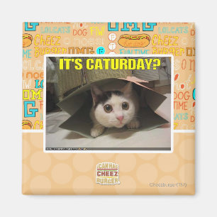 Aimant C'est Caturday ?