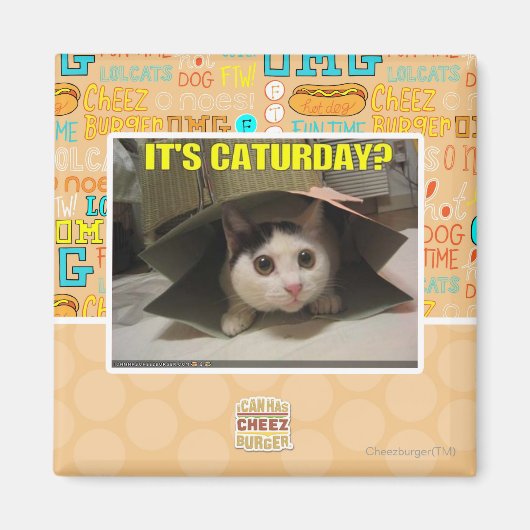 Aimant C'est Caturday ? (Devant)