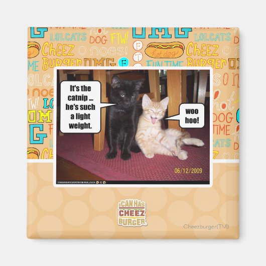 Aimant C'est le catnip (Devant)
