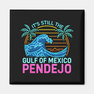 Aimant C'est le golfe du Mexique Pendejo Beach Drôle d'es