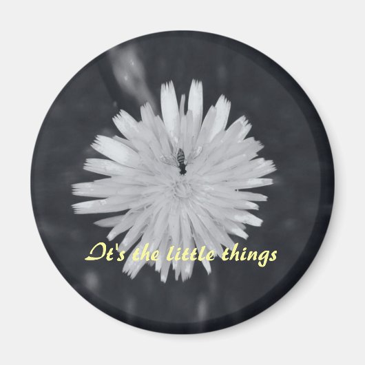 Aimant C'est les petites choses (Devant)