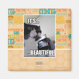 Aimant C'est magnifique