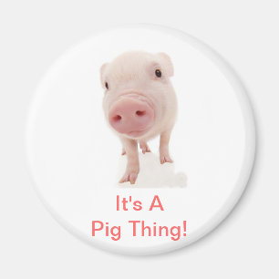 Aimant C'est une chose de porc