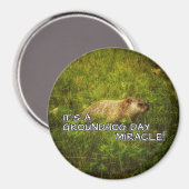 Aimant C'est une journée de miracle de la marmotte (Recto/Verso)