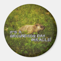 C'est une journée de miracle de la marmotte