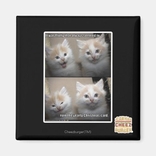 Aimant C'était Fluffy (Devant)