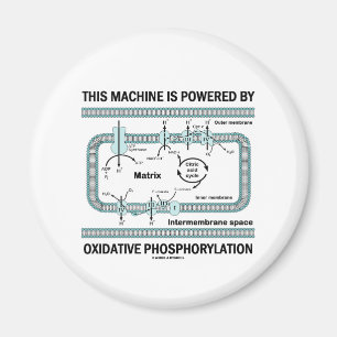 Aimant Cette machine actionnée par phosphorylation