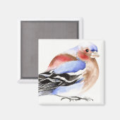 Aimant Chaffinch coloré 2011 (Recto/Verso)
