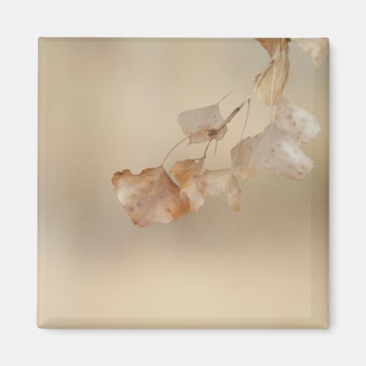 Aimant chaîne de feuilles d'or (Devant)