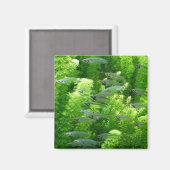 Aimant Chalet de poisson d'argent transparent (Recto/Verso)