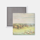 Aimant Chaleur de buffle (Recto/Verso)