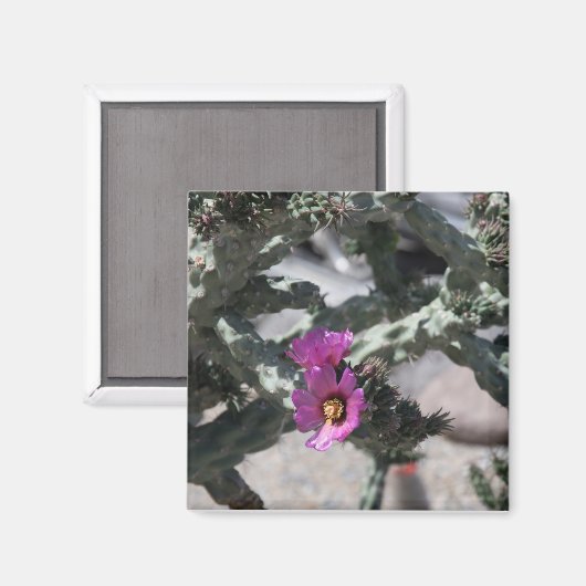 Aimant Challa Cactus en fleurs (Recto/Verso)