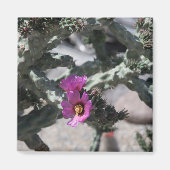 Aimant Challa Cactus en fleurs (Devant)