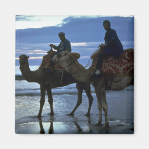 Aimant Chameaux, Maroc