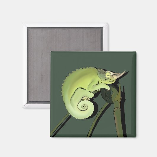 Aimant Chameleon de Jackson (Recto/Verso)