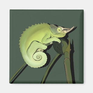 Aimant Chameleon de Jackson