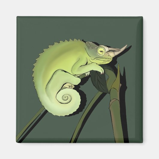 Aimant Chameleon de Jackson (Devant)